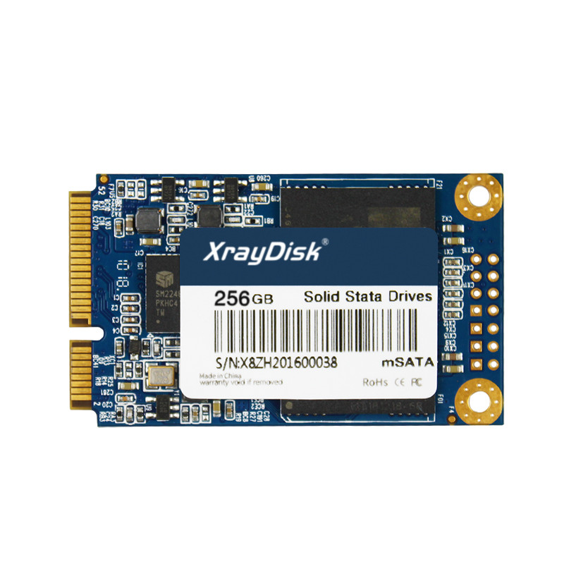 SSD 256GB mSATA XrayDisk