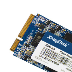 SSD 256 GB-os mSATA XrayDisk